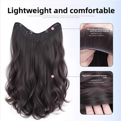 9a9b7f29-cad6-4895-be38-ab06fab4c255
